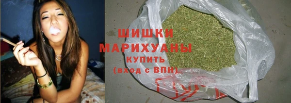 прущие крисы Белокуриха