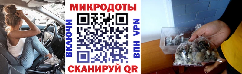 omg как войти цена Еманжелинск Псилоцибиновые грибы GOLDEN TEACHER